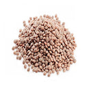Chase Daal Masoor Whole V.I.P 500g