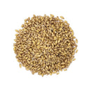 Chase Jau 500gm